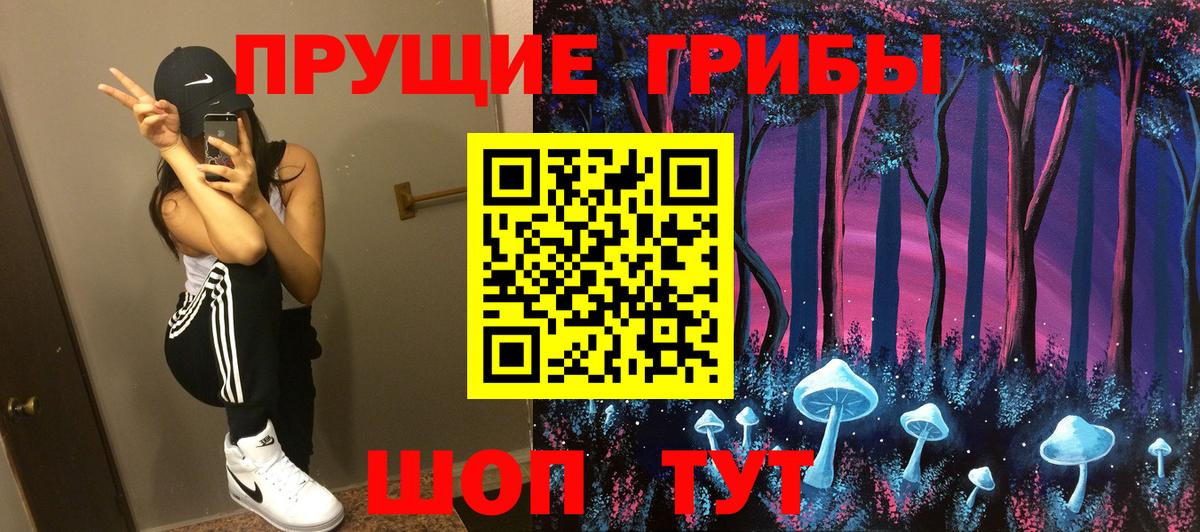 Псилоцибиновые грибы прущие грибы Майкоп